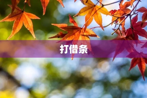 打借条 打借条