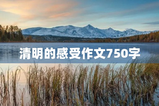 清明的感受作文750字