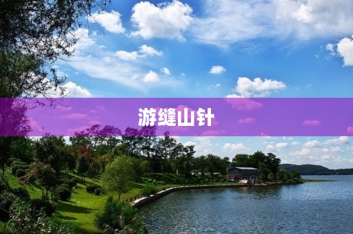 游缝山针 游缝山针