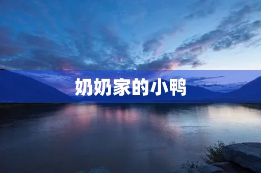 奶奶家的小鸭