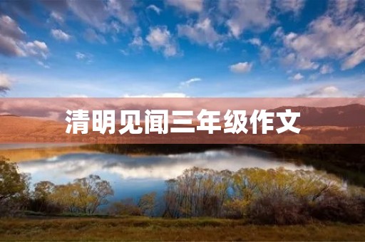 清明见闻三年级作文