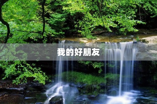 我的好朋友 我的好朋友
