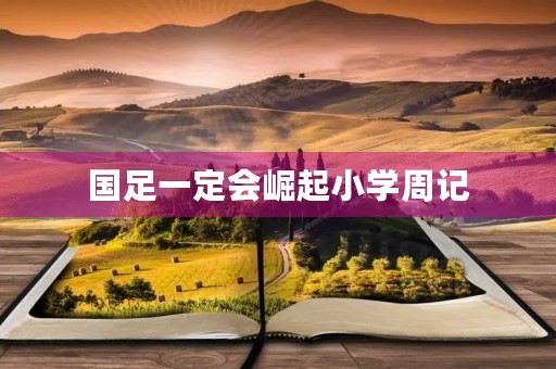 国足一定会崛起小学周记 国足一定会崛起小学周记