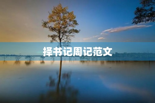 择书记周记范文