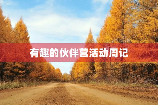 有趣的伙伴营活动周记