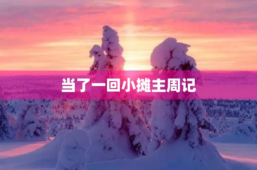 当了一回小摊主周记