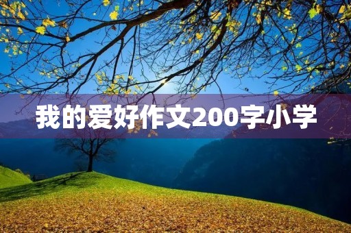 我的爱好作文200字小学