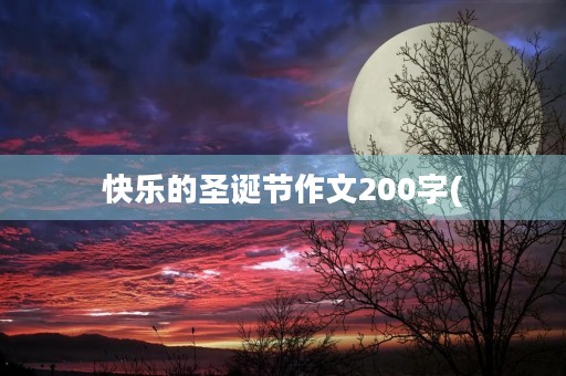 快乐的圣诞节作文200字(