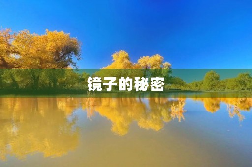 镜子的秘密 镜子的秘密