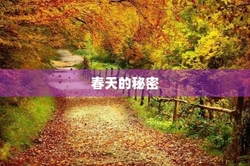 春天的秘密 春天的秘密