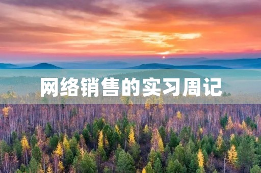网络销售的实习周记