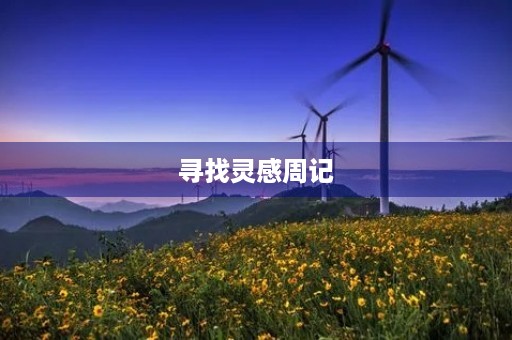 寻找灵感周记 寻找灵感周记