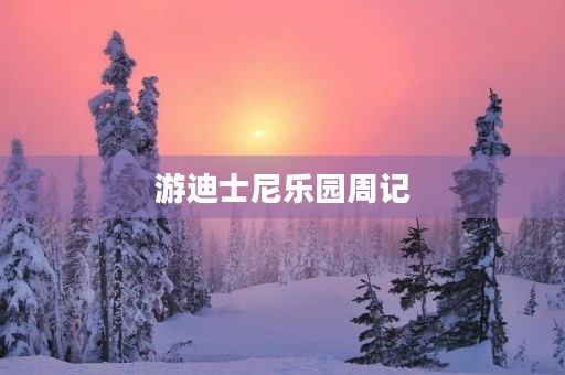 游迪士尼乐园周记 游迪士尼乐园周记