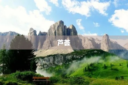 芦荟 芦荟
