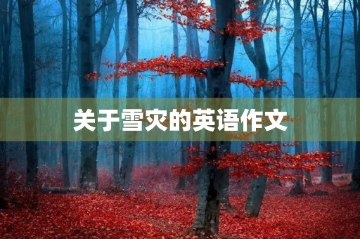 关于雪灾的英语作文 关于雪灾的英语作文