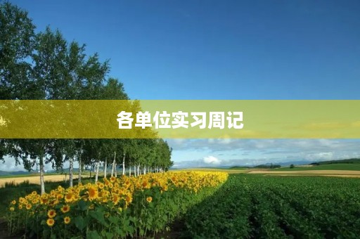 各单位实习周记
