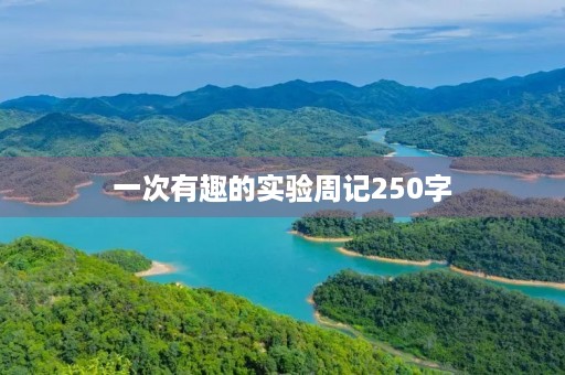 一次有趣的实验周记250字