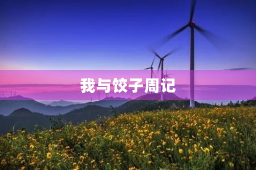 我与饺子周记