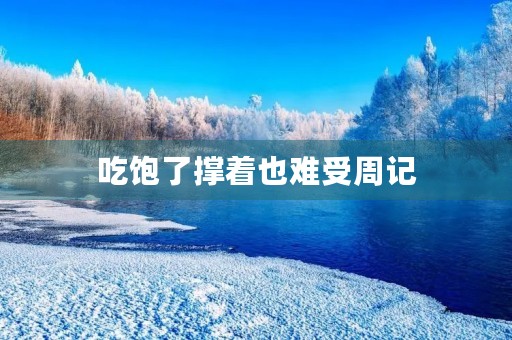 吃饱了撑着也难受周记 吃饱了撑着也难受周记