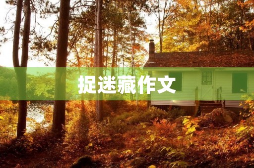 捉迷藏作文
