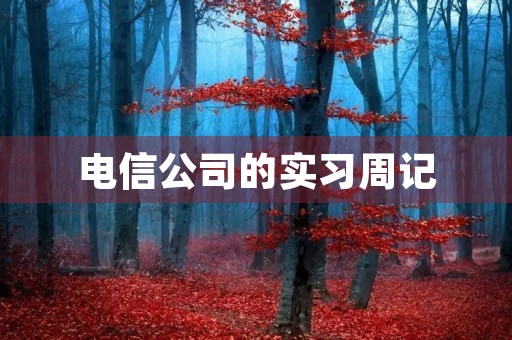 电信公司的实习周记