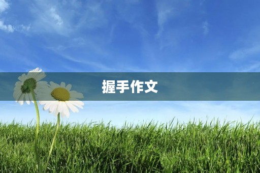 握手作文