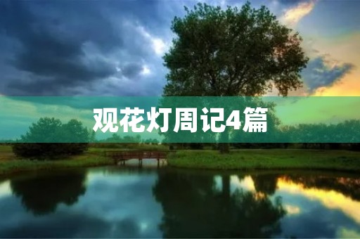 观花灯周记4篇 观花灯周记4篇