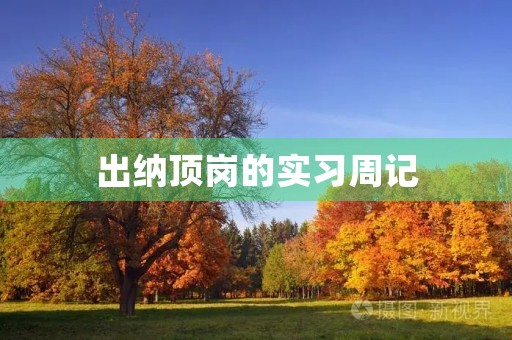 出纳顶岗的实习周记 出纳顶岗的实习周记
