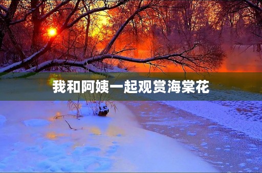 我和阿姨一起观赏海棠花 我和阿姨一起观赏海棠花