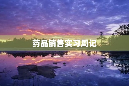 药品销售实习周记 药品销售实习周记