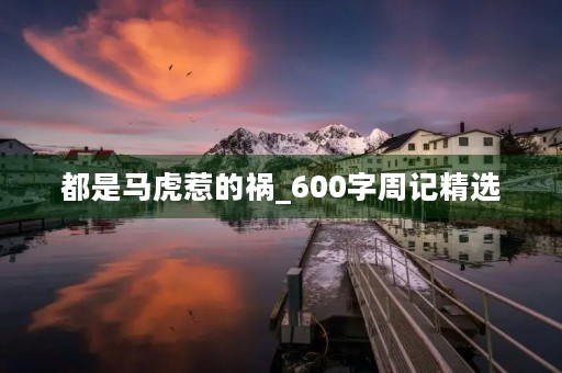 都是马虎惹的祸_600字周记精选 都是马虎惹的祸_600字周记精选