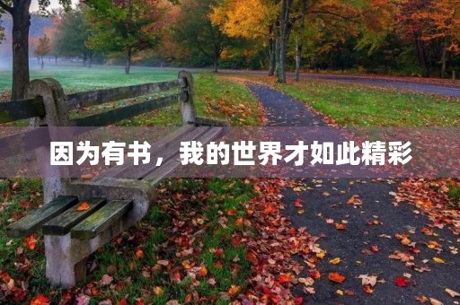 因为有书，我的世界才如此精彩