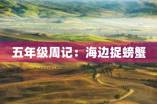 五年级周记:海边捉螃蟹 五年级周记:海边捉螃蟹