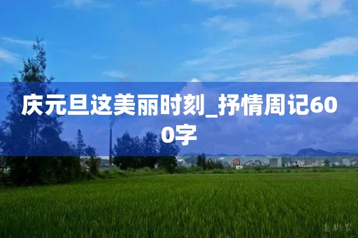 庆元旦这美丽时刻_抒情周记600字