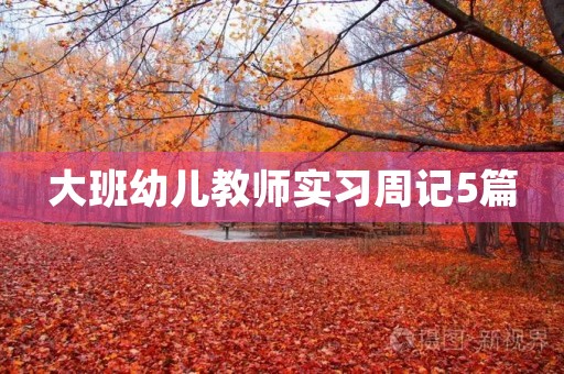 大班幼儿教师实习周记5篇 大班幼儿教师实习周记5篇