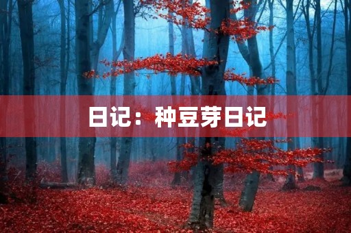 日记：种豆芽日记