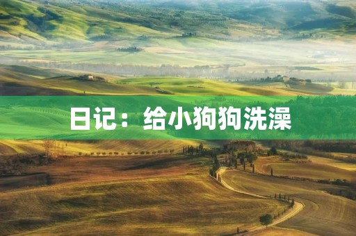 日记：给小狗狗洗澡