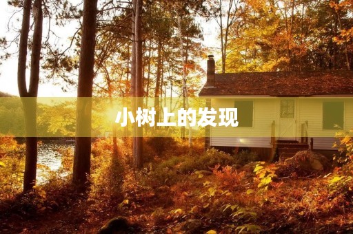 小树上的发现 小树上的发现