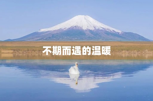 不期而遇的温暖