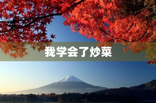 我学会了炒菜 我学会了炒菜