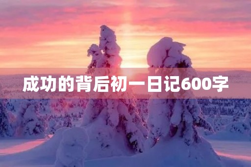 成功的背后初一日记600字