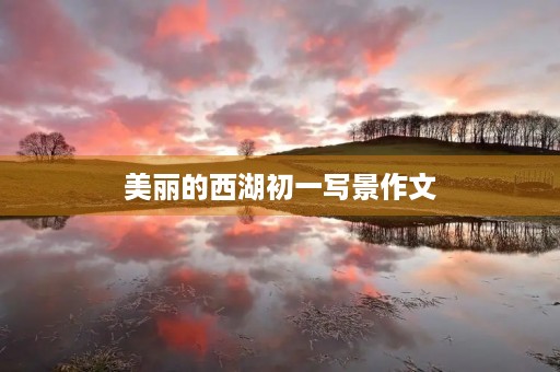 美丽的西湖初一写景作文