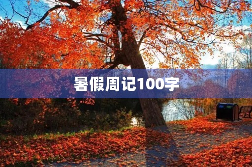 暑假周记100字 暑假周记100字