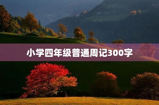 小学四年级普通周记300字