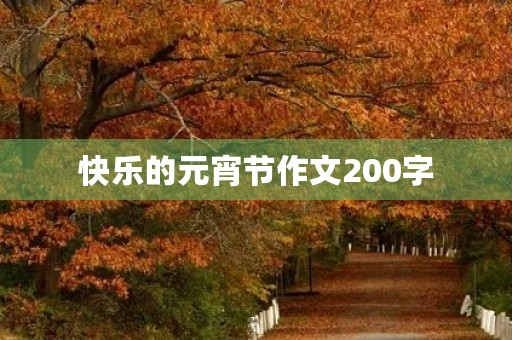 快乐的元宵节作文200字 快乐的元宵节作文200字