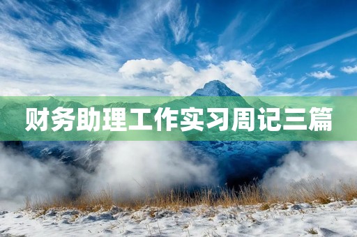 财务助理工作实习周记三篇