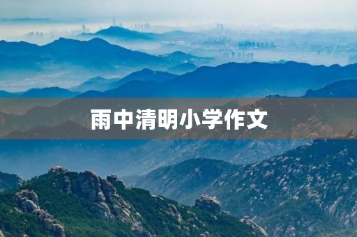 雨中清明小学作文