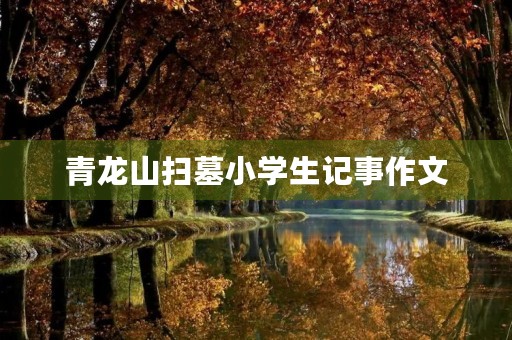 青龙山扫墓小学生记事作文 青龙山扫墓小学生记事作文