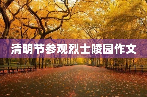清明节参观烈士陵园作文