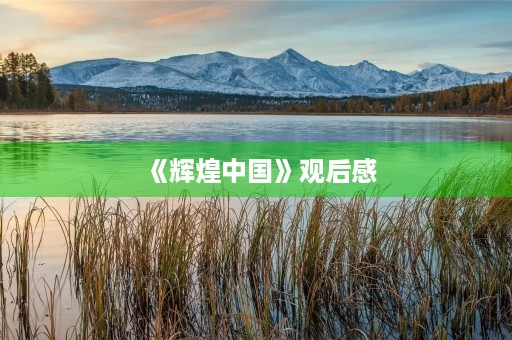《辉煌中国》观后感 《辉煌中国》观后感